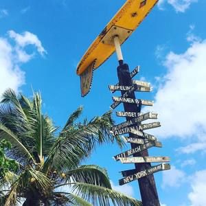 Meet your Posher, Shawn